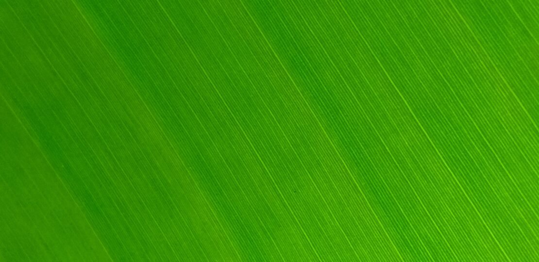rohit-ranwa-twEy5TouJLg-unsplash
